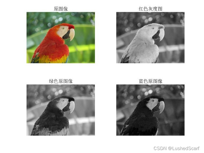 彩色图像灰度均衡化-CSDN博客