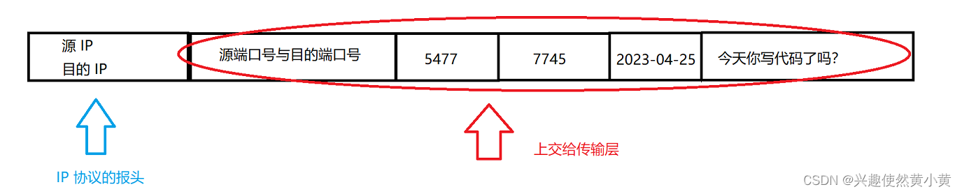 IP 数据报