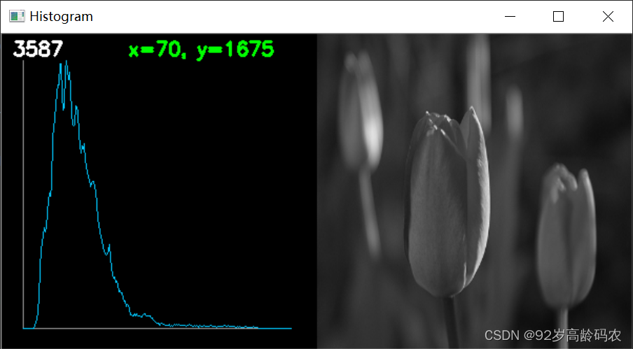 Histogram