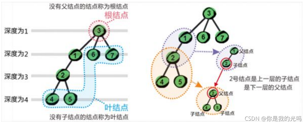 树的图示：