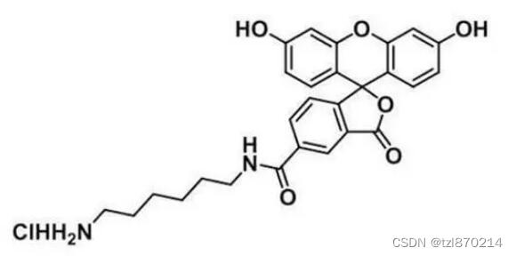 2183440-41-5，138589-19-2，FAM amine, 5-isomer可以与蛋白质或核酸结合