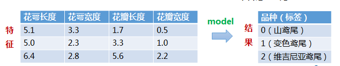 这个实验的数据直接就是一个有特征的矩阵