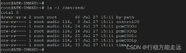 Figure 28.3.1 Files in the /dev/snd directory