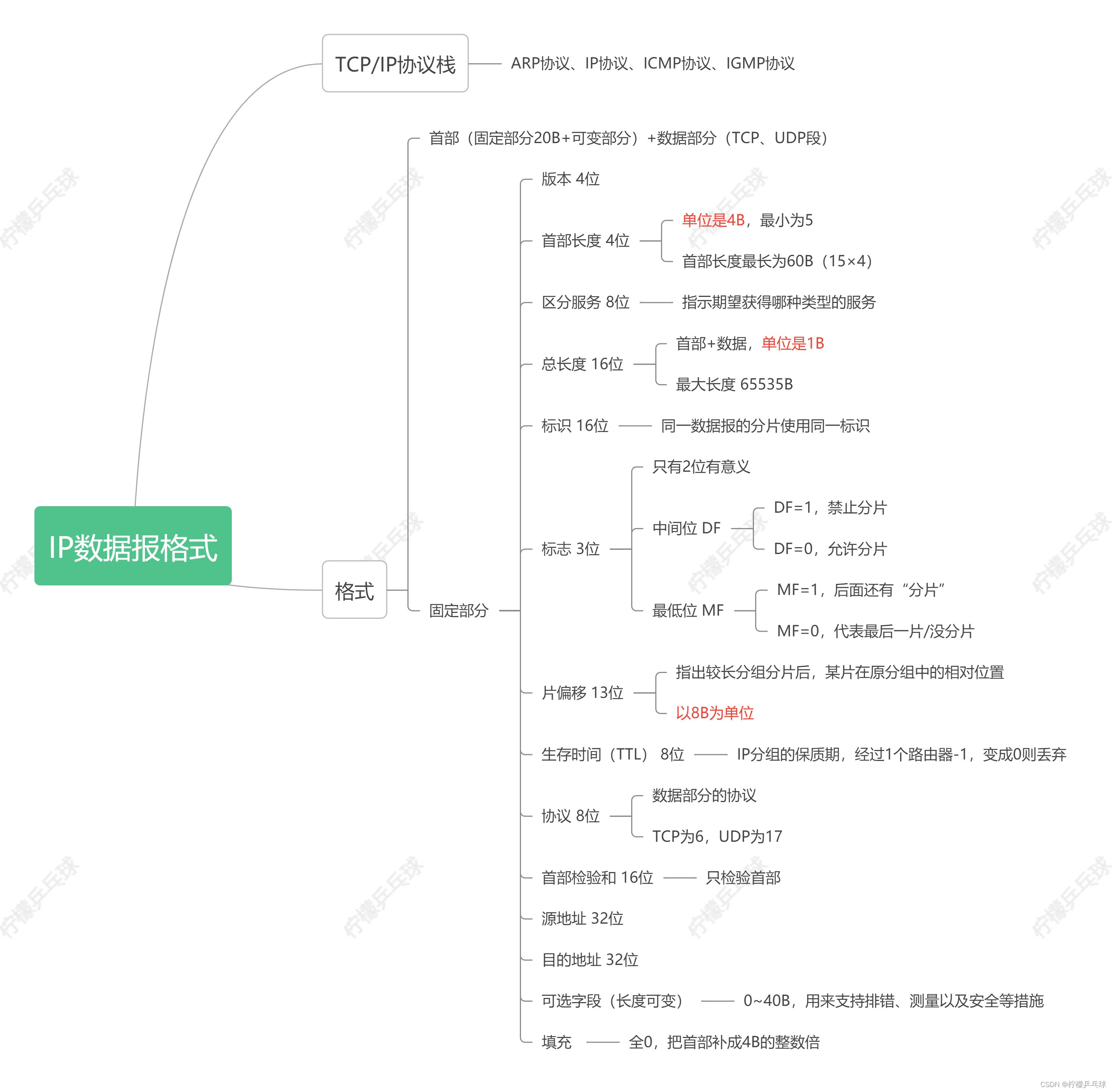 IP数据报格式