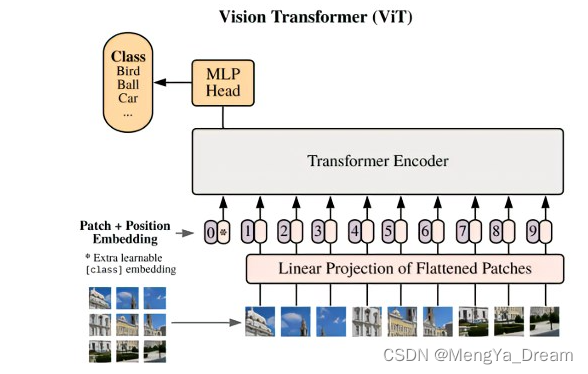 ViT: Vision transformer的cls token作用？