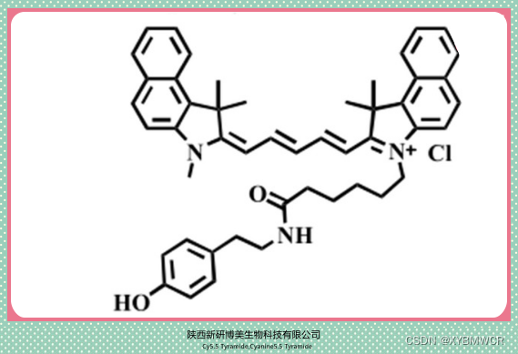 Cyanine5.5 Tyramide，Cy5.5 Tyramide，花青素Cy5.5 酪酰胺菁染料供应