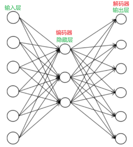 图片不显示