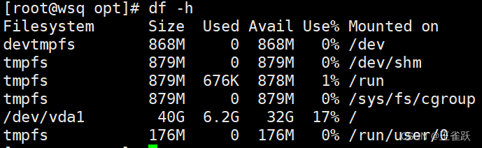 Linux查看文件大小