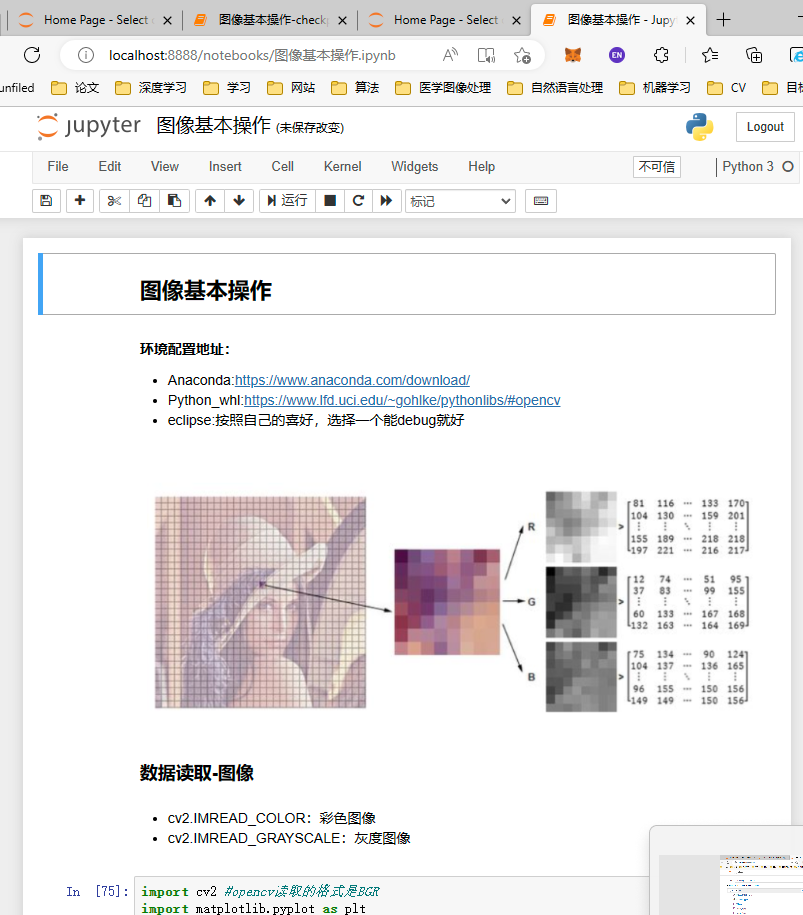 Jupyter Notebook查看文件