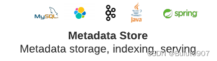 Metadata Store