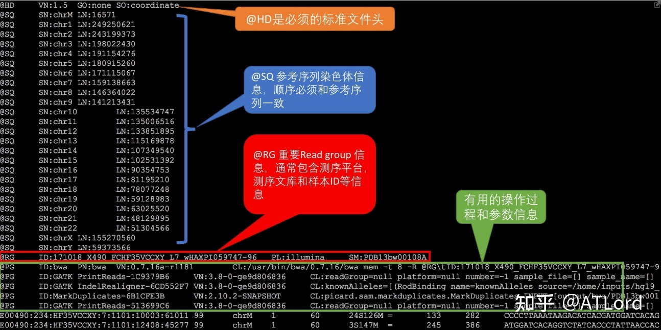 2. 序列比对信息行
3.
