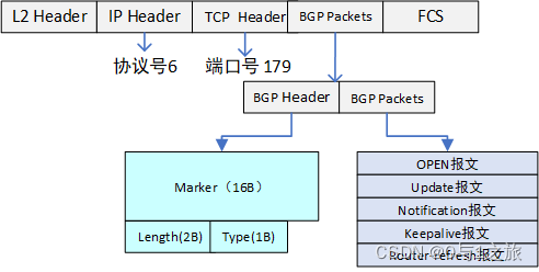 BGP报文结构