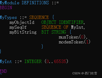ASN.1玩法_asn文件-CSDN博客