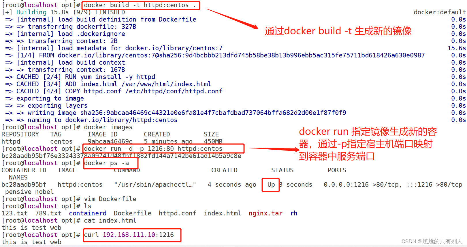 Docker 数据管理