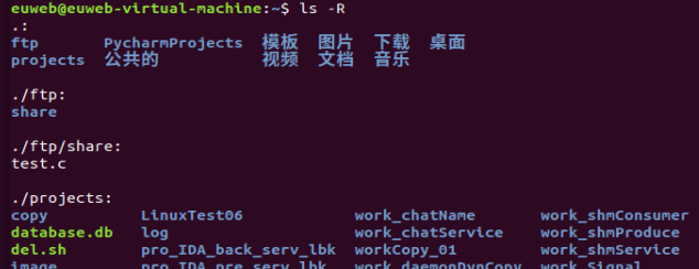 Linux ls 命令学习和简单使用