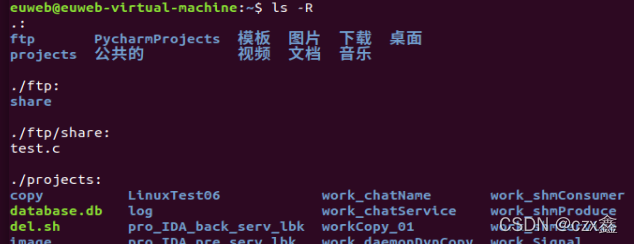 Linux ls 命令学习和简单使用