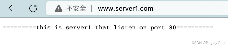 www.server1.com