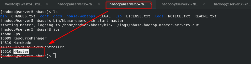 自动化运维之hadoop——大数据平台