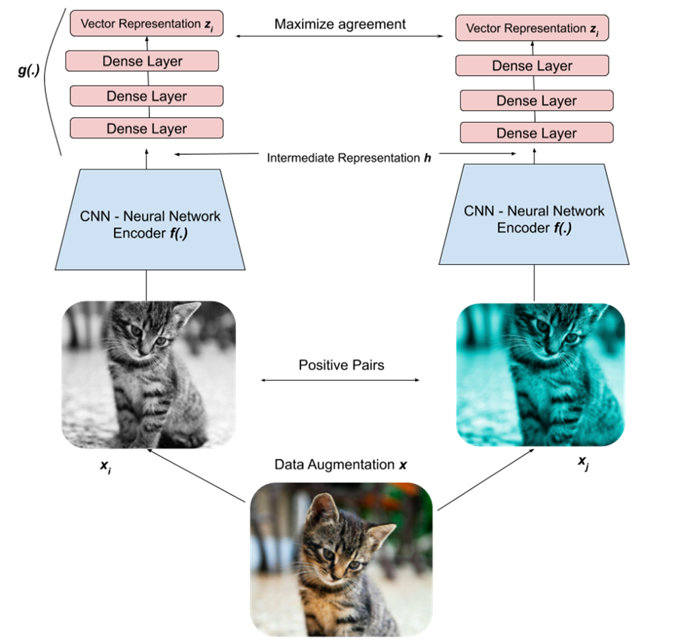 Compare the general process of learning