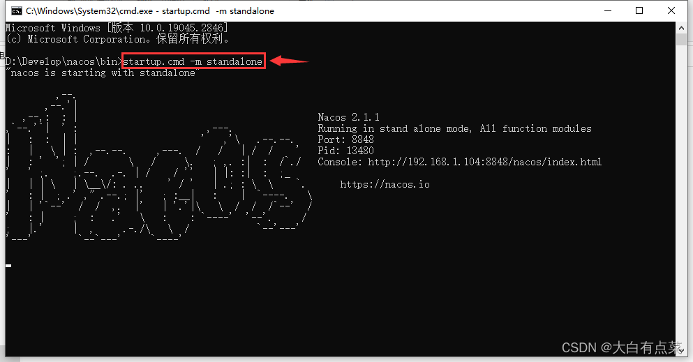 使用startup.cmd -m standalone命令启动 Nacos Server服务