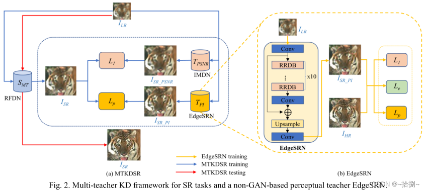 一些多教师蒸馏论文简读_robust semantic segmentation with multi 