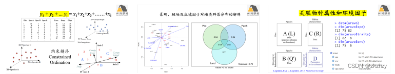 R语言生物群落数据统计分析