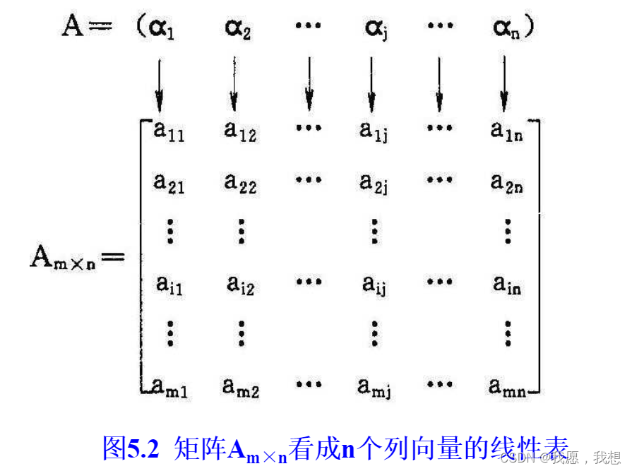 数组的基本知识-CSDN博客