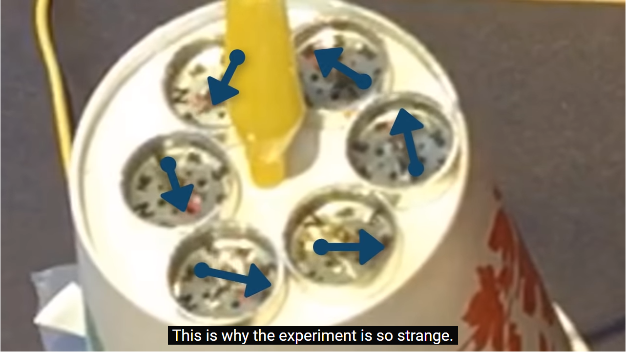 ▲ 图1.1.4 电流周围的磁场方向