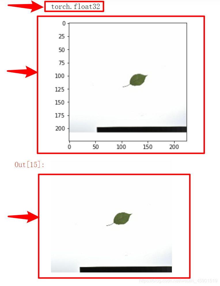Pytorch Tensor Tensor Ma Sizhou CSDN
