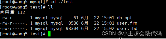 第二十章：MySQL的数据目录