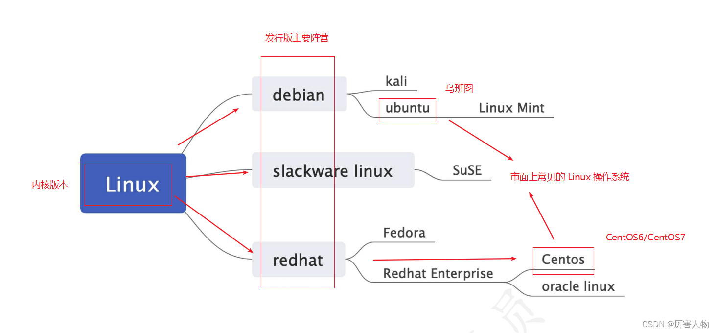 Linux和数据库