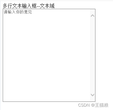 【多行文本输入框--文本域】(html,css)