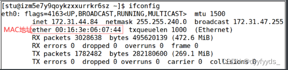 Linux网络概念