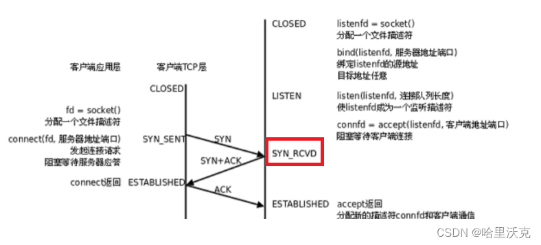 计算机网络（7） --- UDP协议和TCP协议