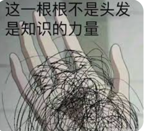 知识的力量