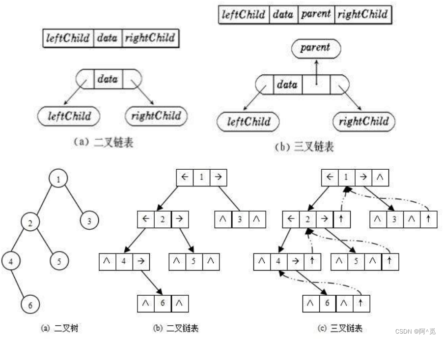 基本数据结构二叉树（1）