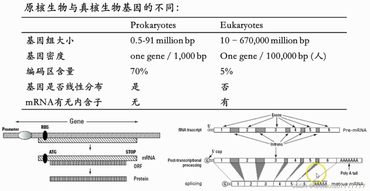 ここに画像の説明を挿入