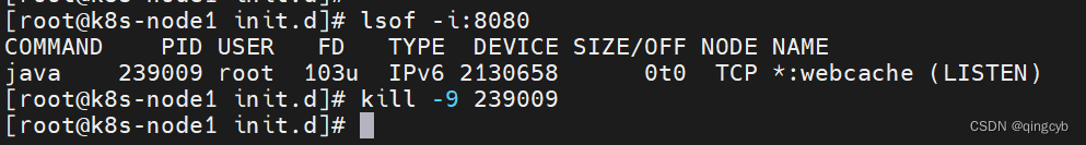 Caused: java.io.IOException: Failed to bind to 0.0.0.0/0.0.0.0:8080