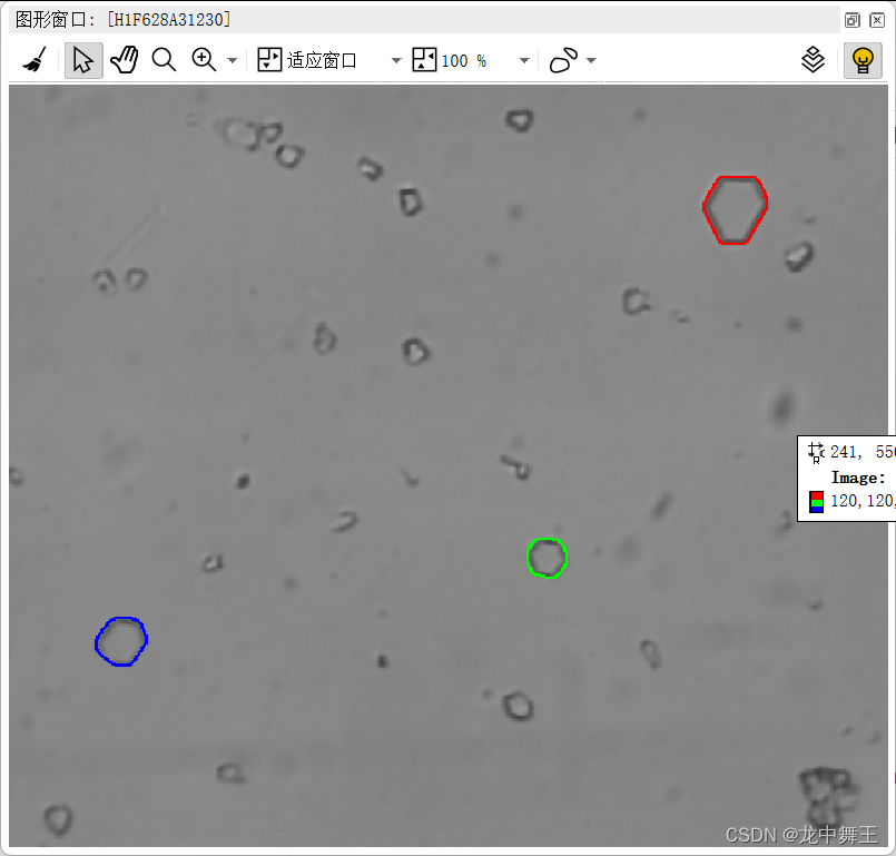 Halcon Solution Guide I basics(4): Blob Analysis（连通性解析）