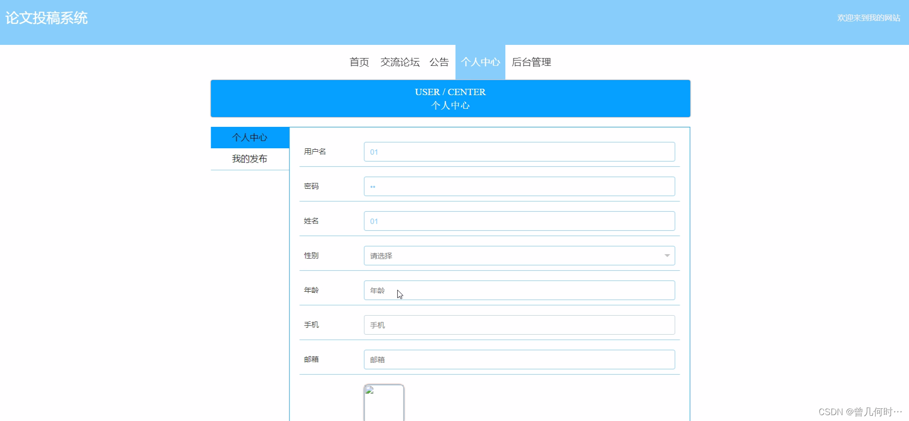 基于SSM的论文投稿系统