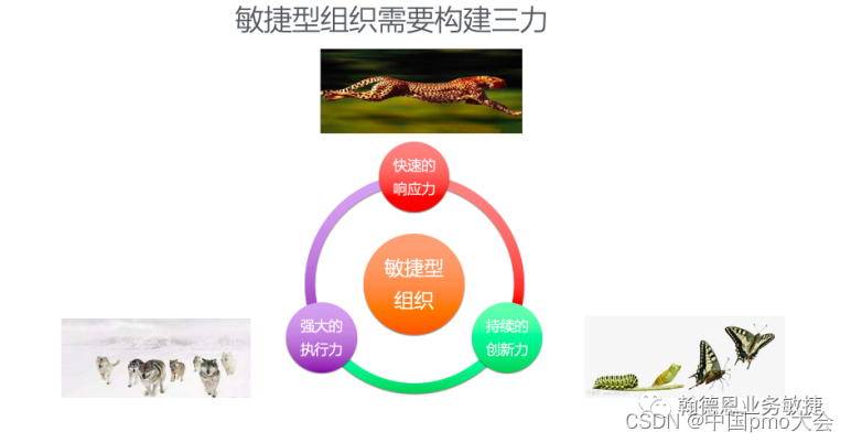 敏捷组织︱如何打造VUCA时代的敏捷型组织?_推动敏捷型组织打造-CSDN博客