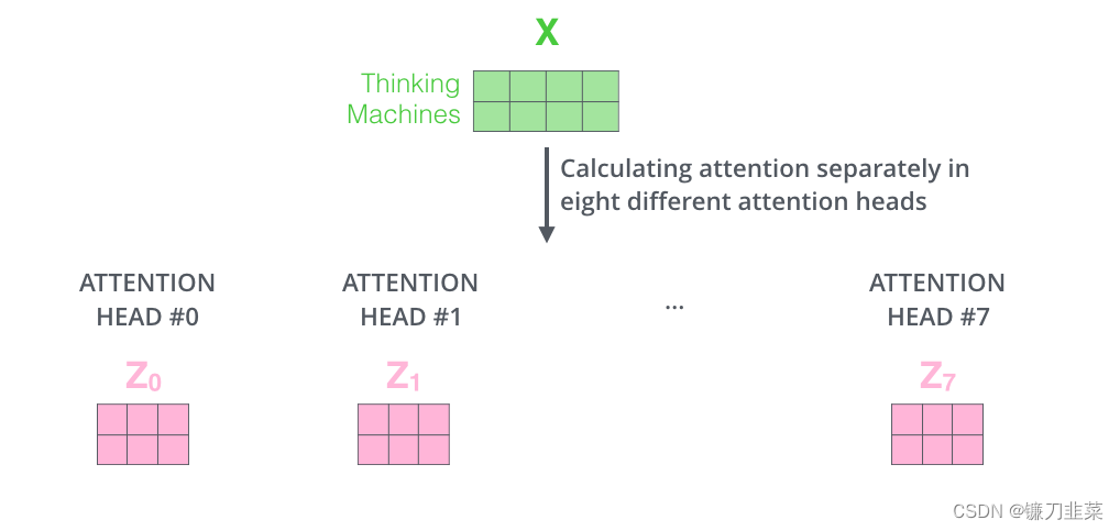 Calulating attention separately in eight different attention heads