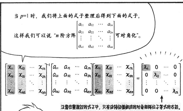 轻松掌握线性代数-万字长文基础知识概览