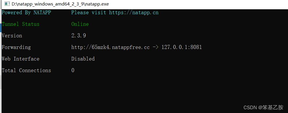 natapp + nginx 实现内网穿透