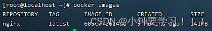 [外链图片转存失败,源站可能有防盗链机制,建议将图片保存下来直接上传(img-YVBUmjS3-1653866548217)(images/docker/3、查看镜像.png)]