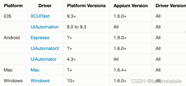 appium server