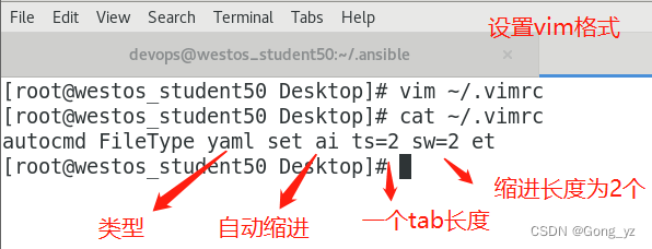 详细总结Ansible中使用playbook