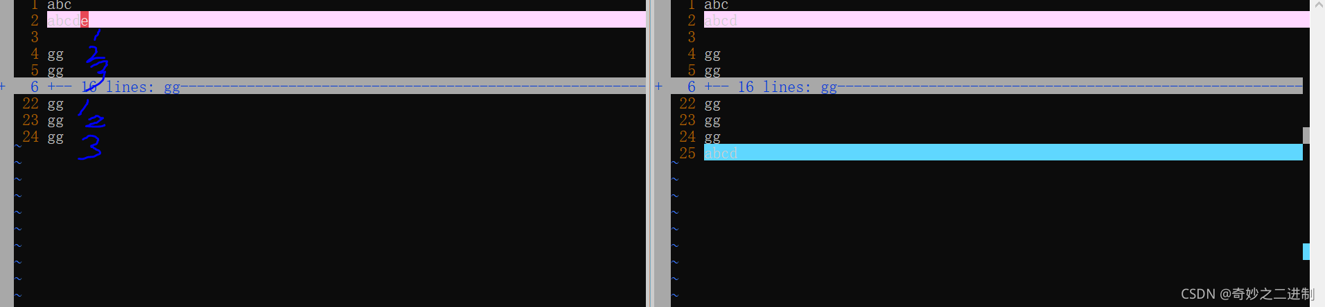 Vim Diffopt vim实用指南(9)vimdiff好用的可视化文本对比工具_diff 可视化-CSDN博客