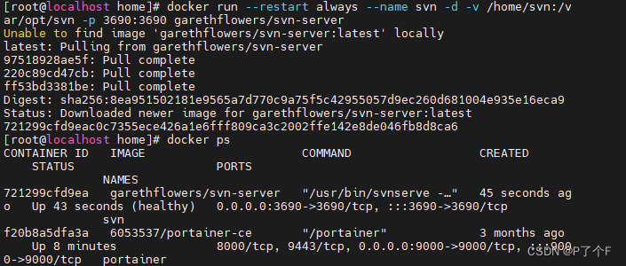 Docker搭建svn的方法步骤