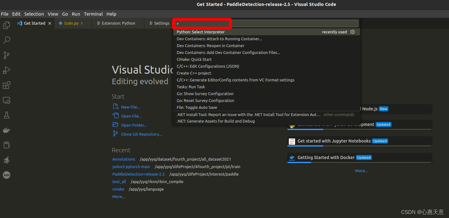 vscode篇---设置python路径，项目主目录和添加参数_vscode设置python路径-CSDN博客